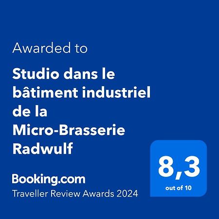 Studio Dans Le Batiment Industriel De La Micro-Brasserie Radwulf Apartment Vieux-Ferrette Luaran gambar
